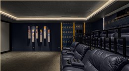 新中式IMAX 3D影院